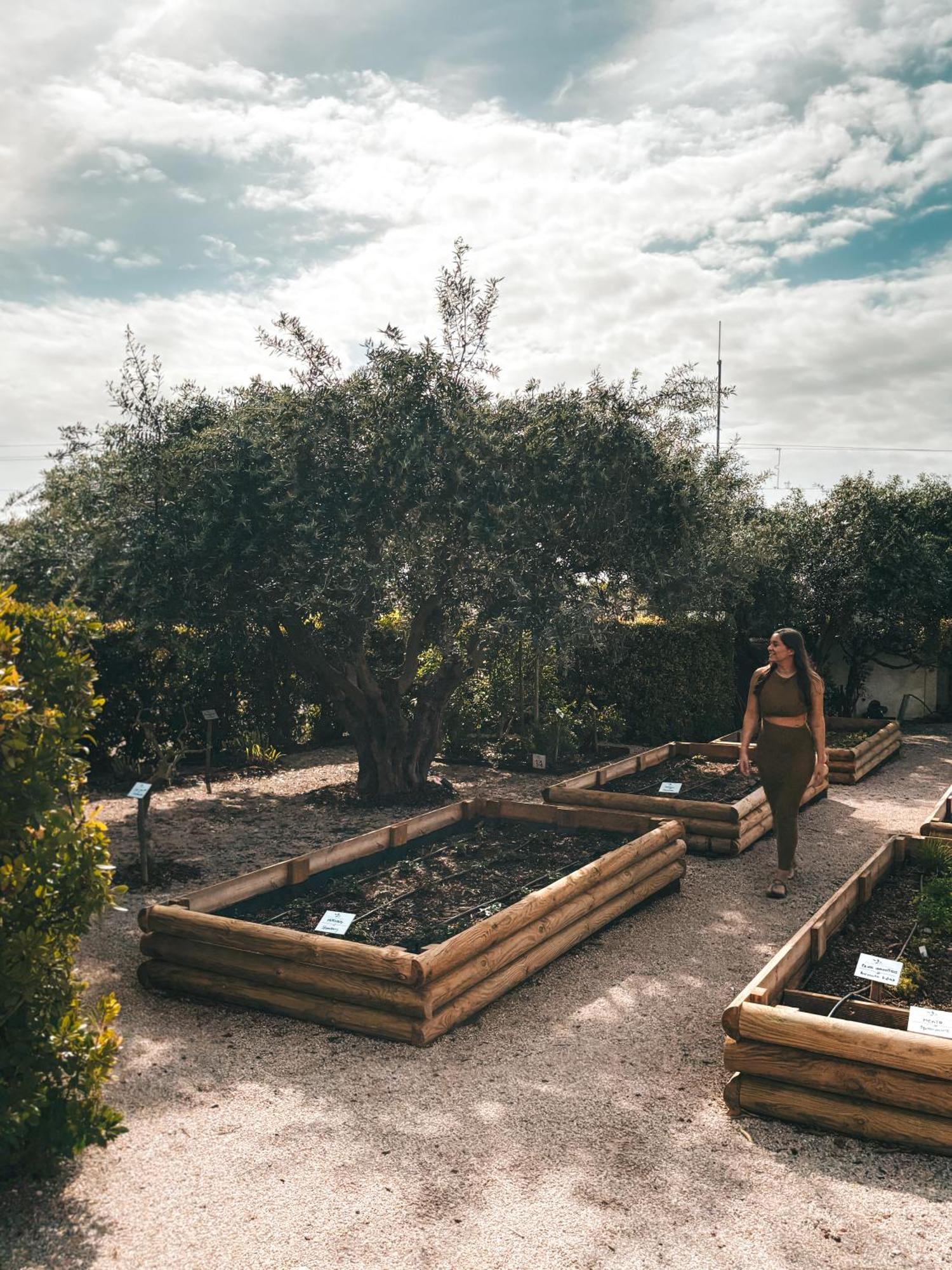 Quinta Dos Perfumes Villa Tavira Eksteriør bilde
