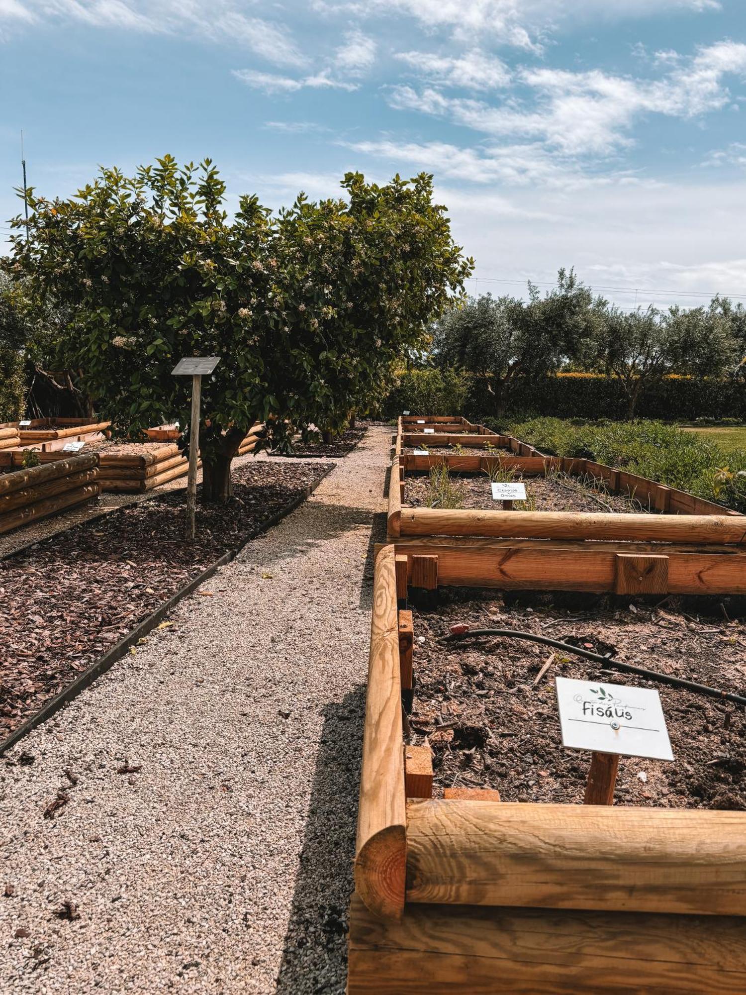 Quinta Dos Perfumes Villa Tavira Eksteriør bilde